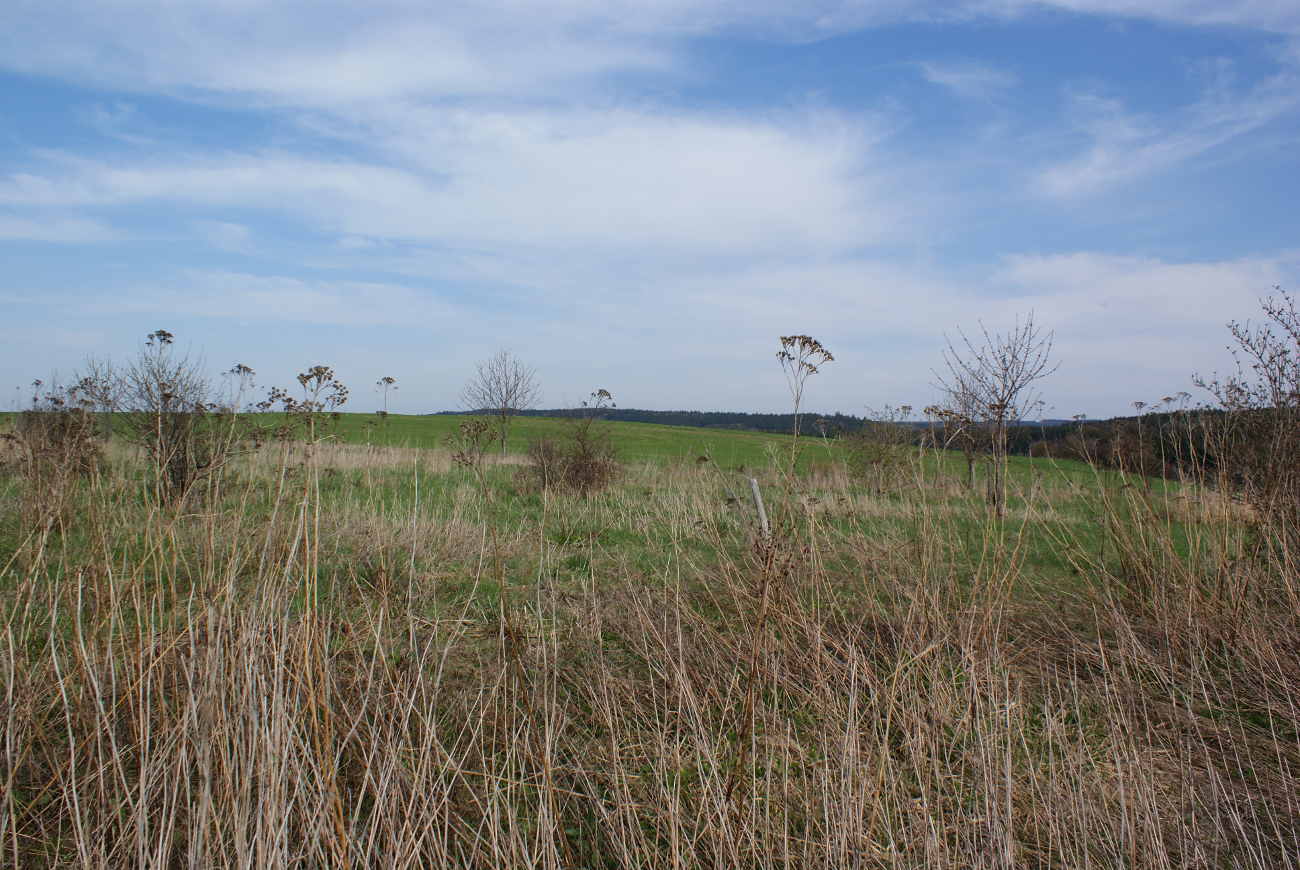 Blick von unserem Land