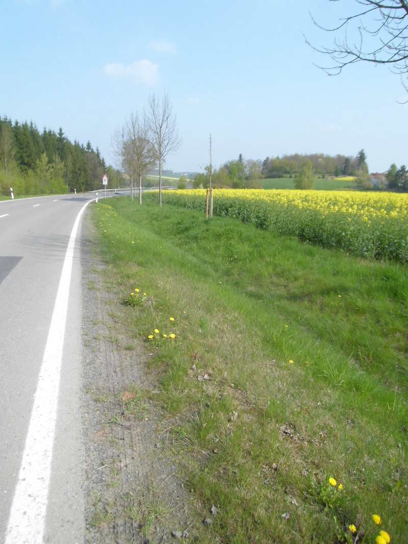 Auf dem Weg von Waldfrieden nach Ranspach